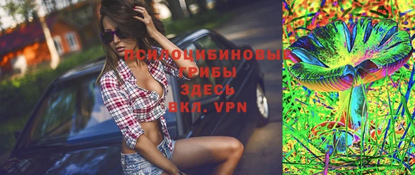 дурь Алексин