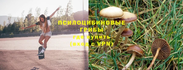 дурь Алексин