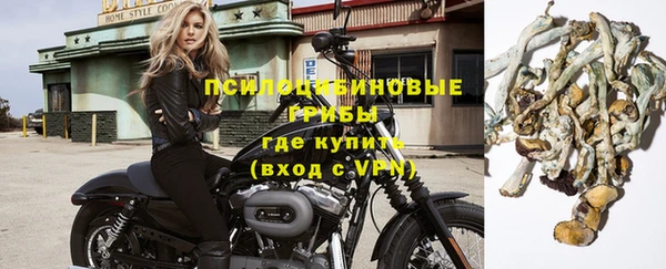 дурь Алексин