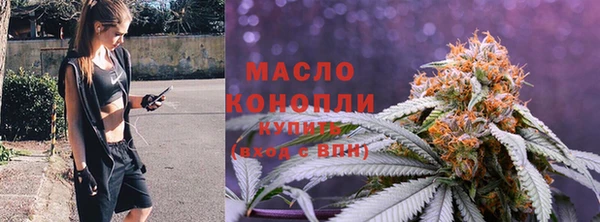дмт Алзамай