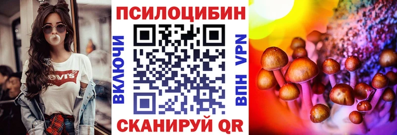 Псилоцибиновые грибы Magic Shrooms  Новая Ладога 