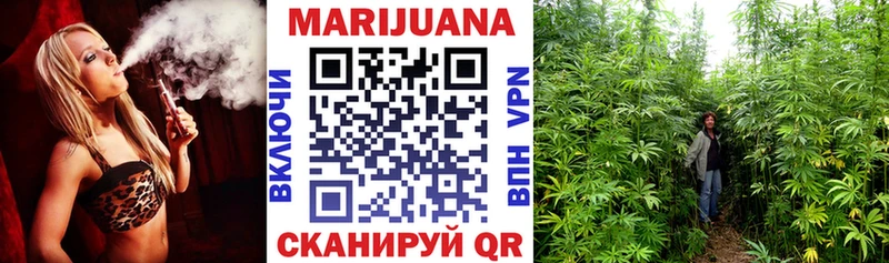 Канабис марихуана Новая Ладога